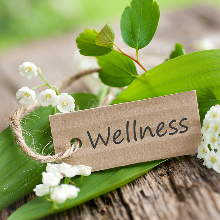 wellness wellness